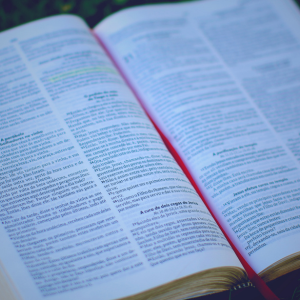 know Him who is true